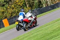 Oulton-Park-20th-March-2020;PJ-Motorsport-Photography-2020;anglesey;brands-hatch;cadwell-park;croft;donington-park;enduro-digital-images;event-digital-images;eventdigitalimages;mallory;no-limits;oulton-park;peter-wileman-photography;racing-digital-images;silverstone;snetterton;trackday-digital-images;trackday-photos;vmcc-banbury-run;welsh-2-day-enduro